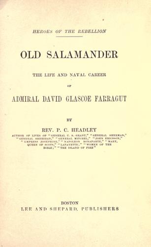 Cover for Old salamander