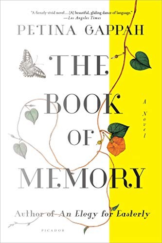 Cover for The Book of Memory