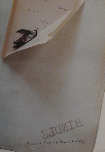 Cover for Bindle