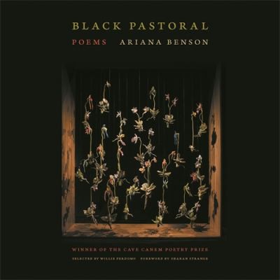 Cover for Black Pastoral