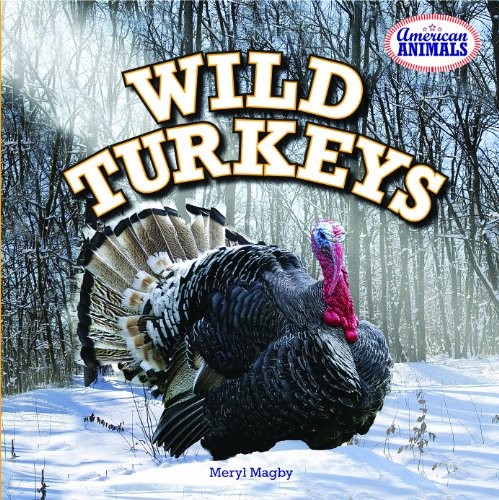 Cover for Wild Turkeys