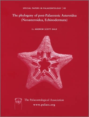 Cover for The phylogeny of post-Palaeozoic Asteroidea (Neoasteroidea, Echinodermata)