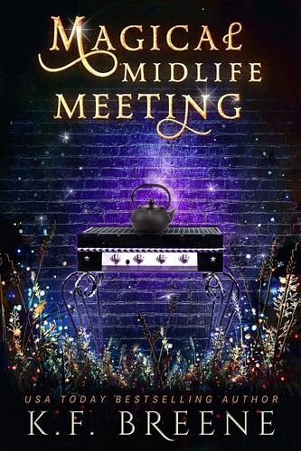 Cover for Magical Midlife Meeting