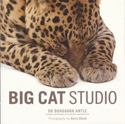 Cover for Big Cat Studio
