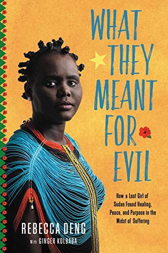 Cover for What They Meant for Evil