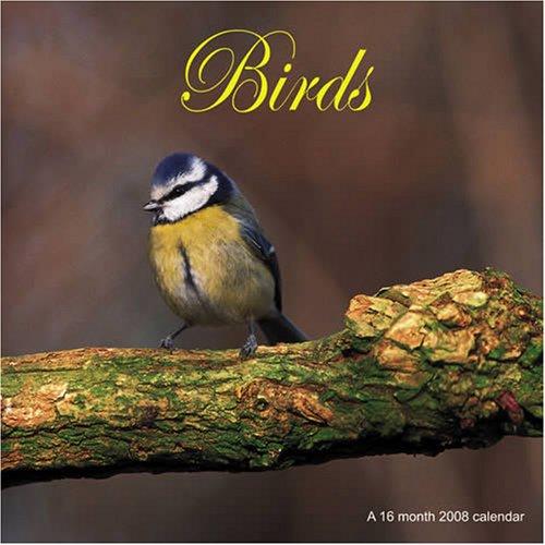 Cover for Birds 2008 Wall Calendar