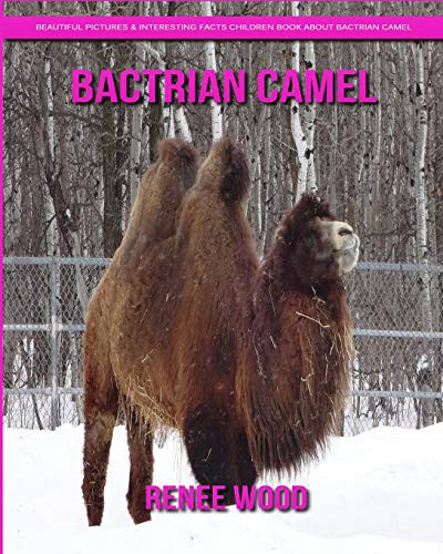 Cover for Bactrian camel