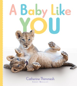 Cover for A Baby Like You