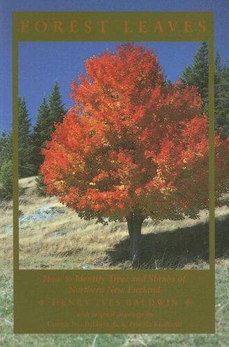 Cover for Forest leaves