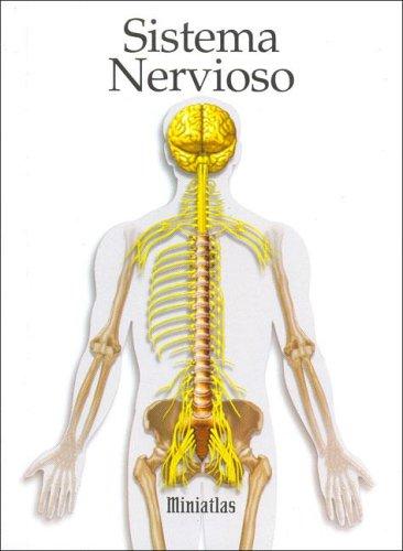 Cover for Sistema Nervioso