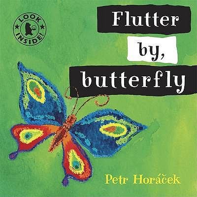 Cover for Flutter By Butterfly