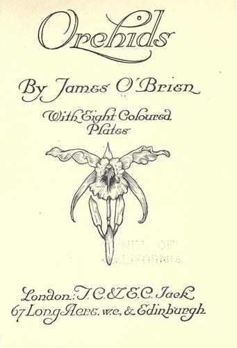 Cover for Orchids