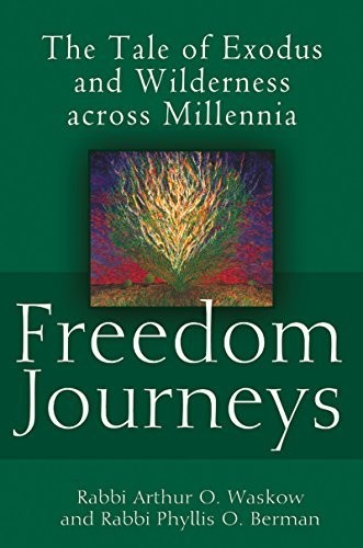 Cover for Freedom Journeys: The Tale of Exodus and Wilderness across Millennia