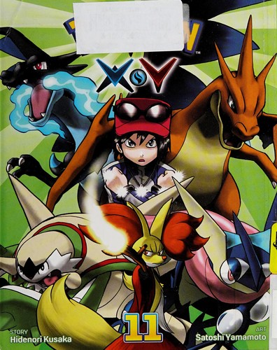 Cover for Pokémon XY