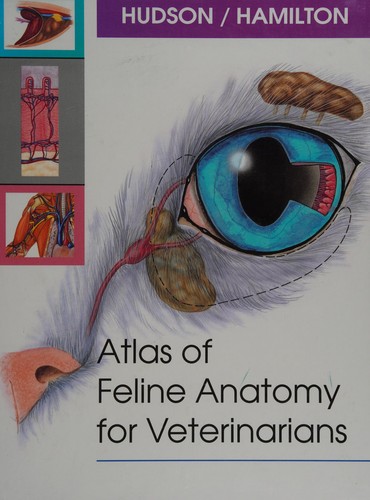 Cover for Atlas of feline anatomy for veterinarians