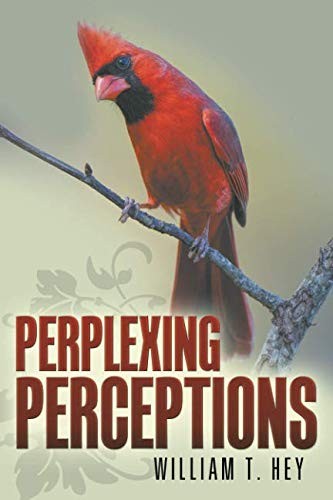 Cover for Perplexing Perceptions