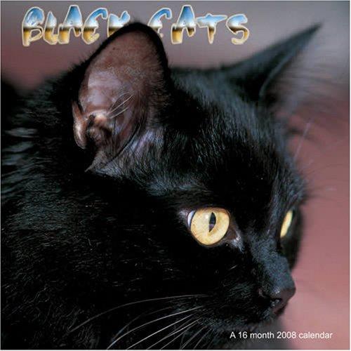 Cover for Black Cats 2008 Wall Calendars