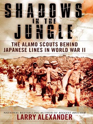 Cover for Shadows In the Jungle