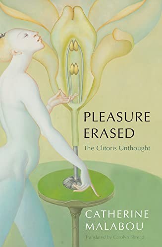 Cover for Erased Pleasure