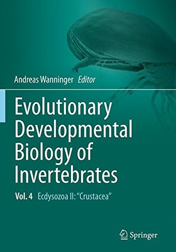 Cover for Evolutionary Developmental Biology of Invertebrates 4 : Ecdysozoa II