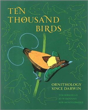 Cover for Ten thousand birds