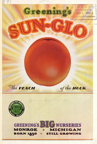Cover for Greening's Sun-Glo peach
