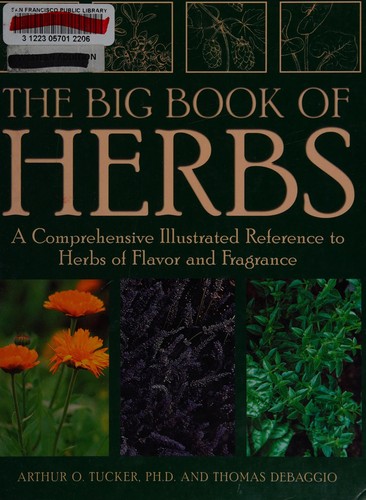 Cover for The big book of herbs