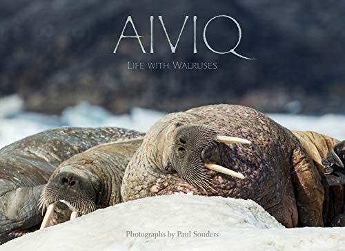 Cover for Aiviq