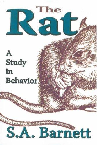 Cover for The Rat