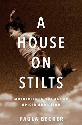 Cover for A House on Stilts