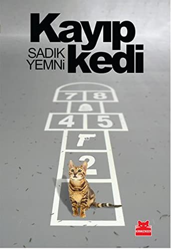 Cover for Kayip Kedi