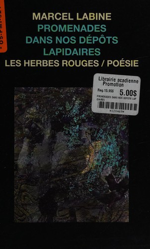 Cover for Promenades dans nos dépôts lapidaires