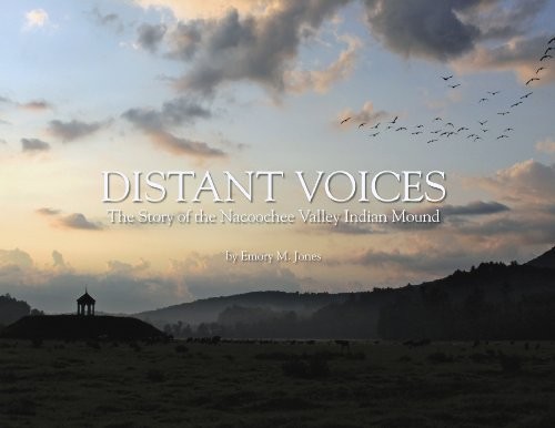 Cover for Distant Voices