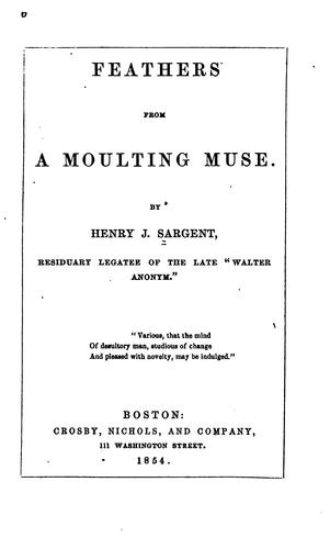 Cover for Feathers from a moulting muse