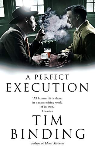 Cover for A Perfect Execution