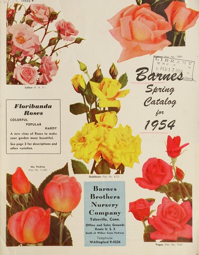 Cover for Barnes spring catalog for 1954