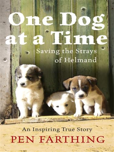 Cover for One Dog at a Time