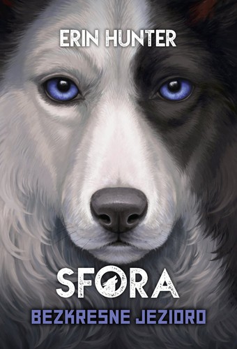 Cover for Bezkresne jezioro