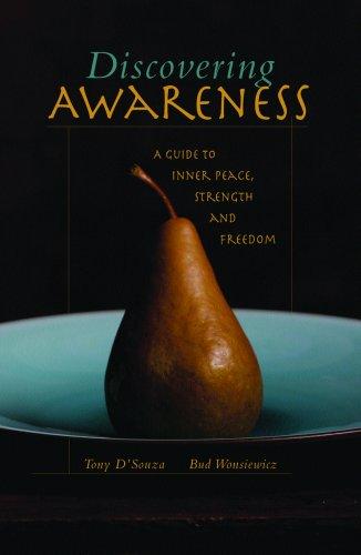 Cover for Discovering Awareness