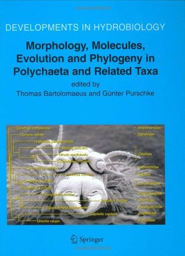 Cover for Morphology, Molecules, Evolution and Phylogeny in Polychaeta and Related Taxa (Developments in Hydrobiology)