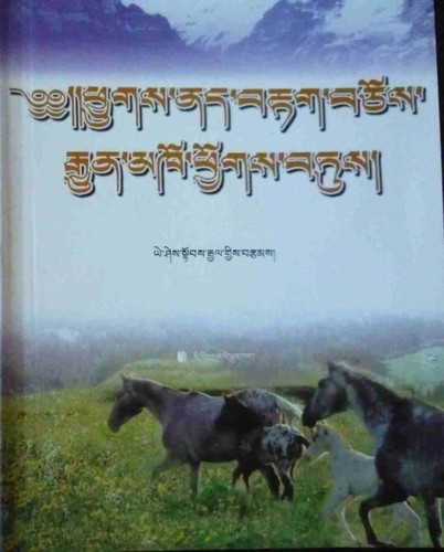 Cover for phyugs nad brtag bcos rgyun mkho phyogs btus