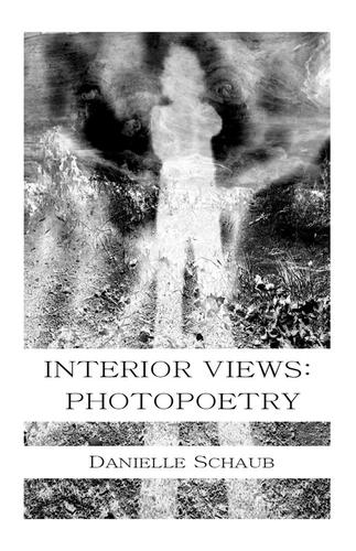 Cover for Interior Views