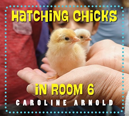 Cover for Hatching chicks in room 6