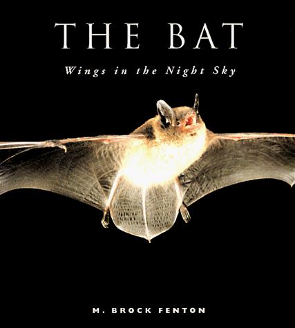 Cover for The Bat