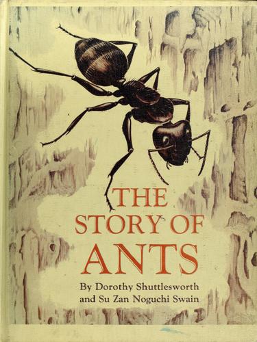 Cover for The story of ants