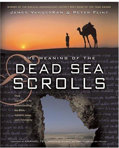 Cover for The Meaning of the Dead Sea Scrolls