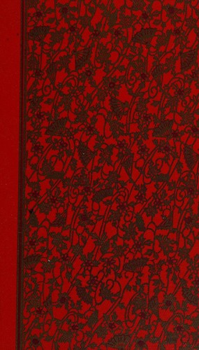 Cover for A mirror for Narcissus.