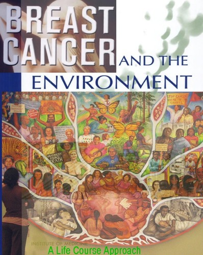 Cover for Breast cancer and the environment