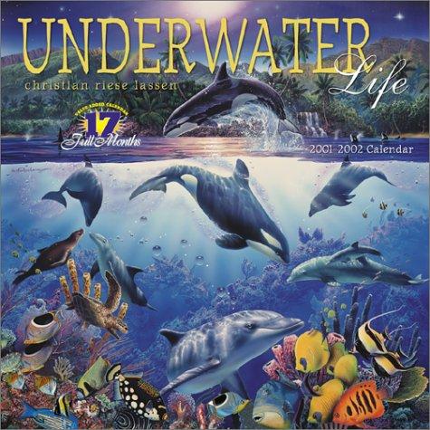 Cover for Underwater Life 2002 Calendar