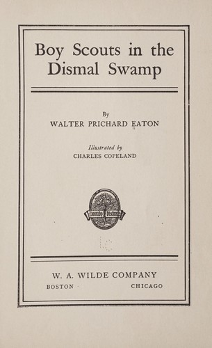 Cover for Boy scouts in the Dismal Swamp